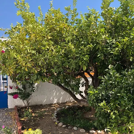 Дом отдыха Casa Maritina Traditional Family House Геннади