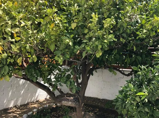 Дом отдыха Casa Maritina Traditional Family House Геннади