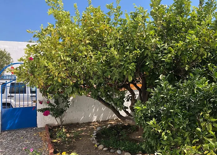 Дом отдыха Casa Maritina Traditional Family House Геннади