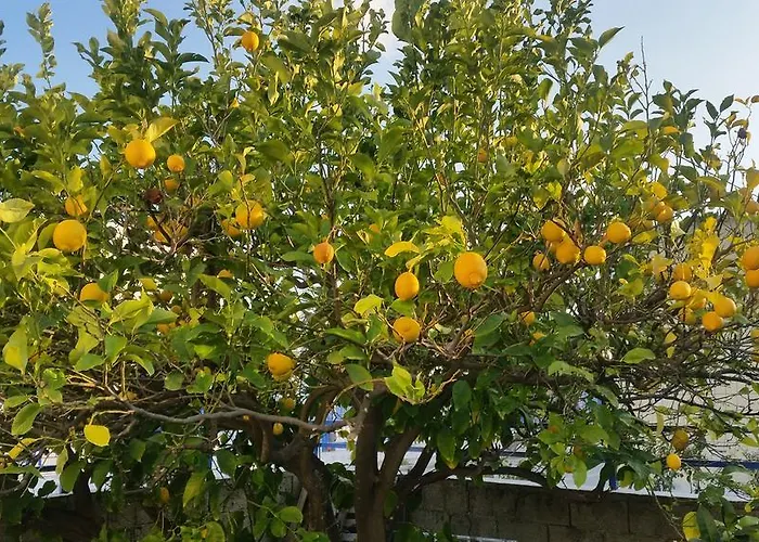 Casa Maritina Traditional Family House Дом отдыха Геннади